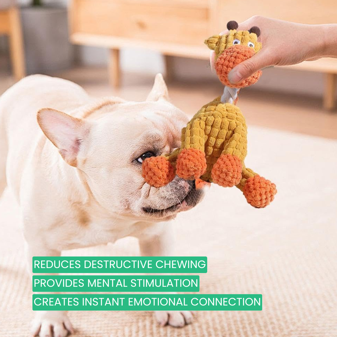 Woofipal™ For Aggressive Chewers - Moiasun