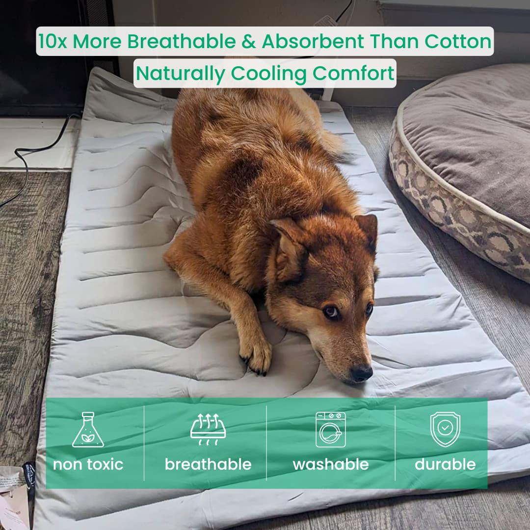 CoolTail™ Chill & Cozy Dog Mat - Moiasun