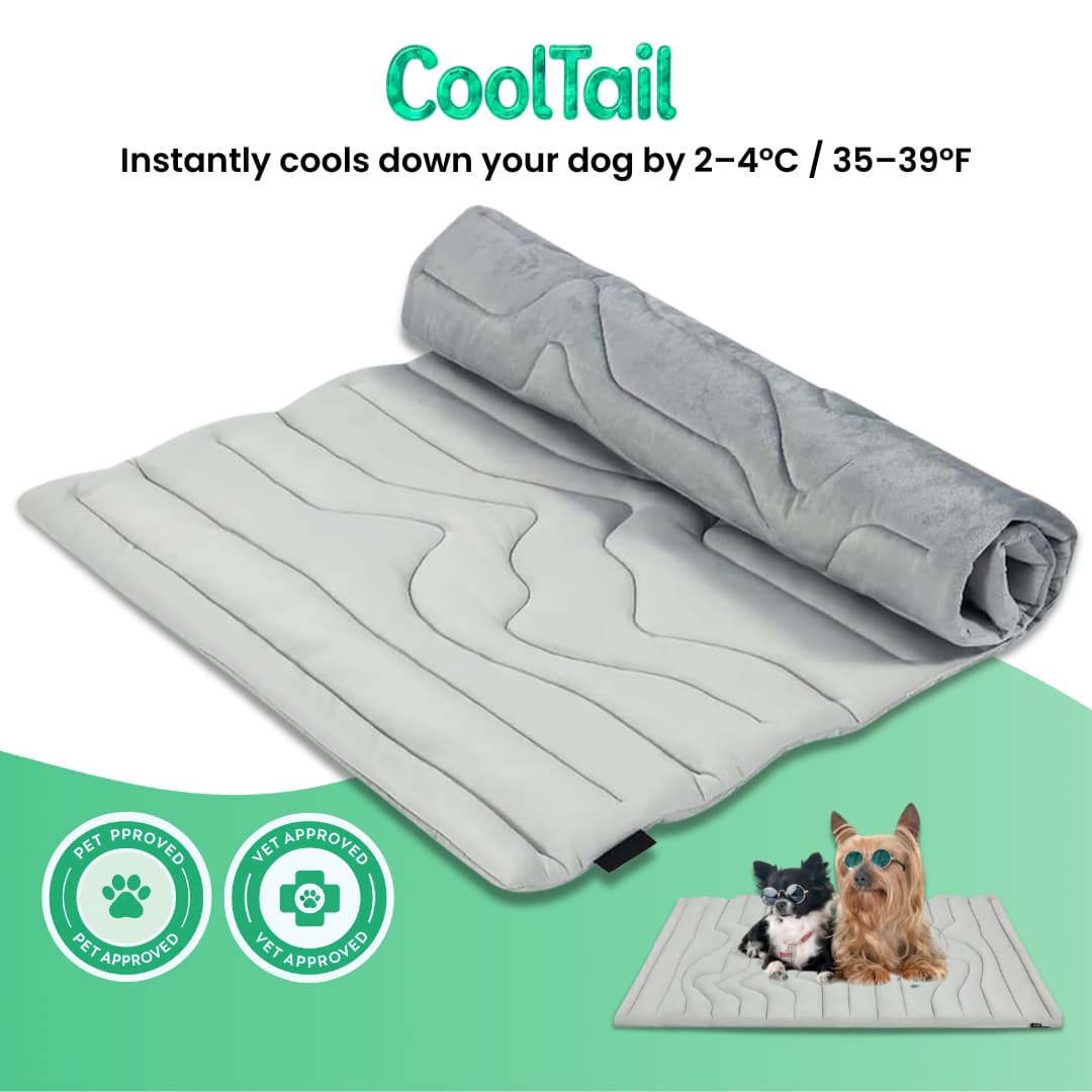 CoolTail™ Chill & Cozy Dog Mat - Moiasun