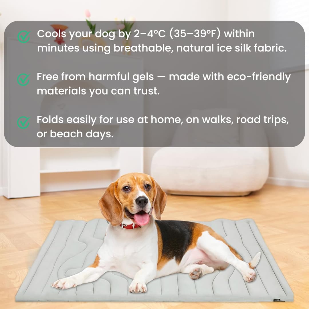CoolTail™ Chill & Cozy Dog Mat - Moiasun