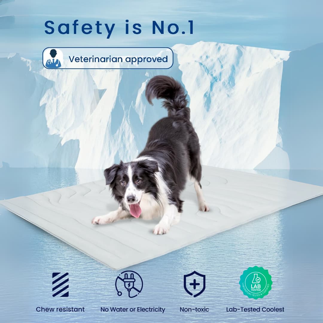 CoolTail™ Chill & Cozy Dog Mat - Moiasun