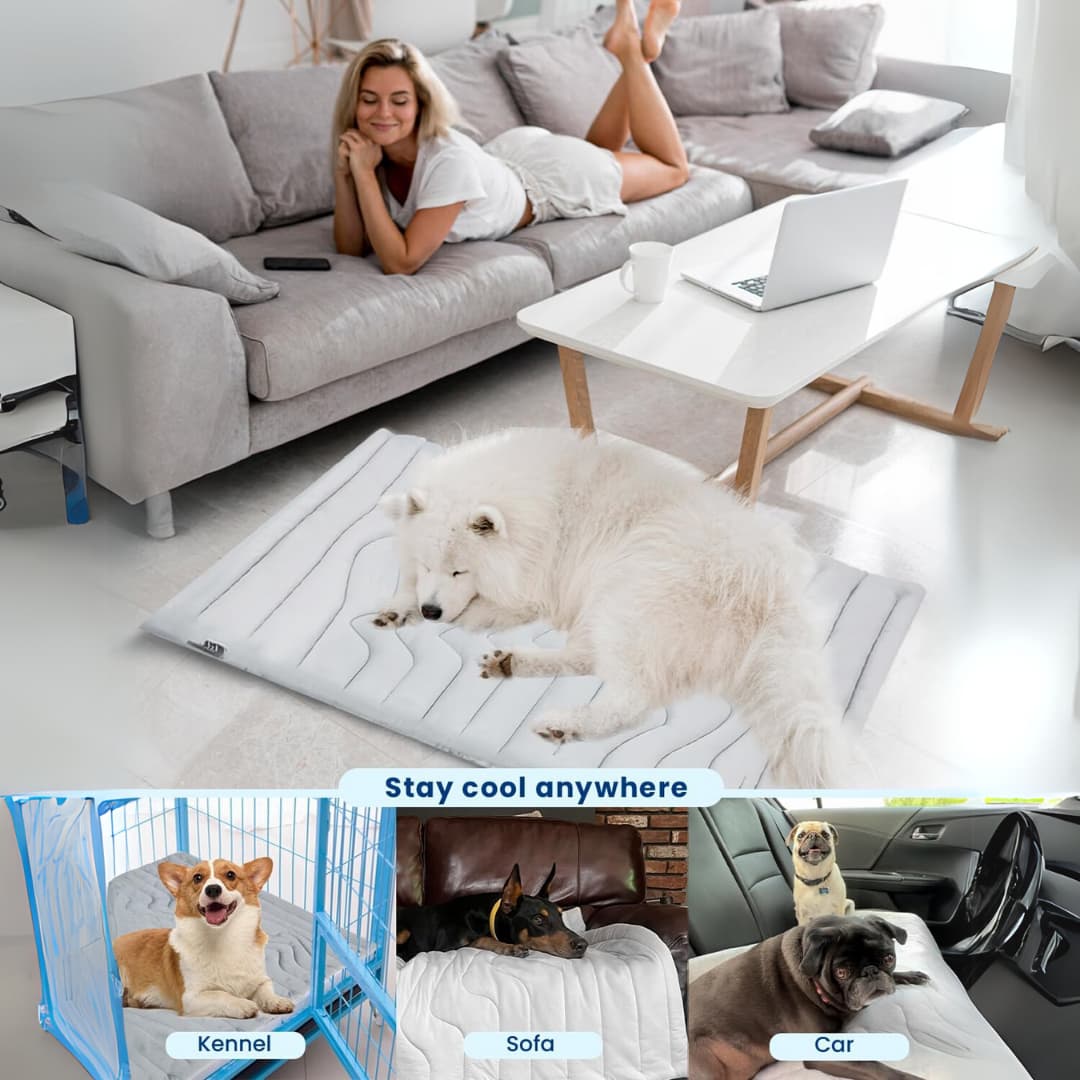 CoolTail™ Chill & Cozy Dog Mat - Moiasun