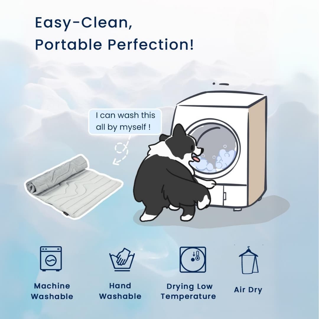 CoolTail™ Chill & Cozy Dog Mat - Moiasun