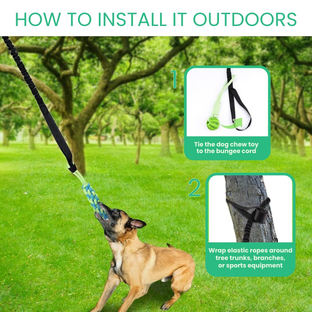 TugTail™ Interactive Spring Toy for Indoor & Outdoor Exercise - Moiasun