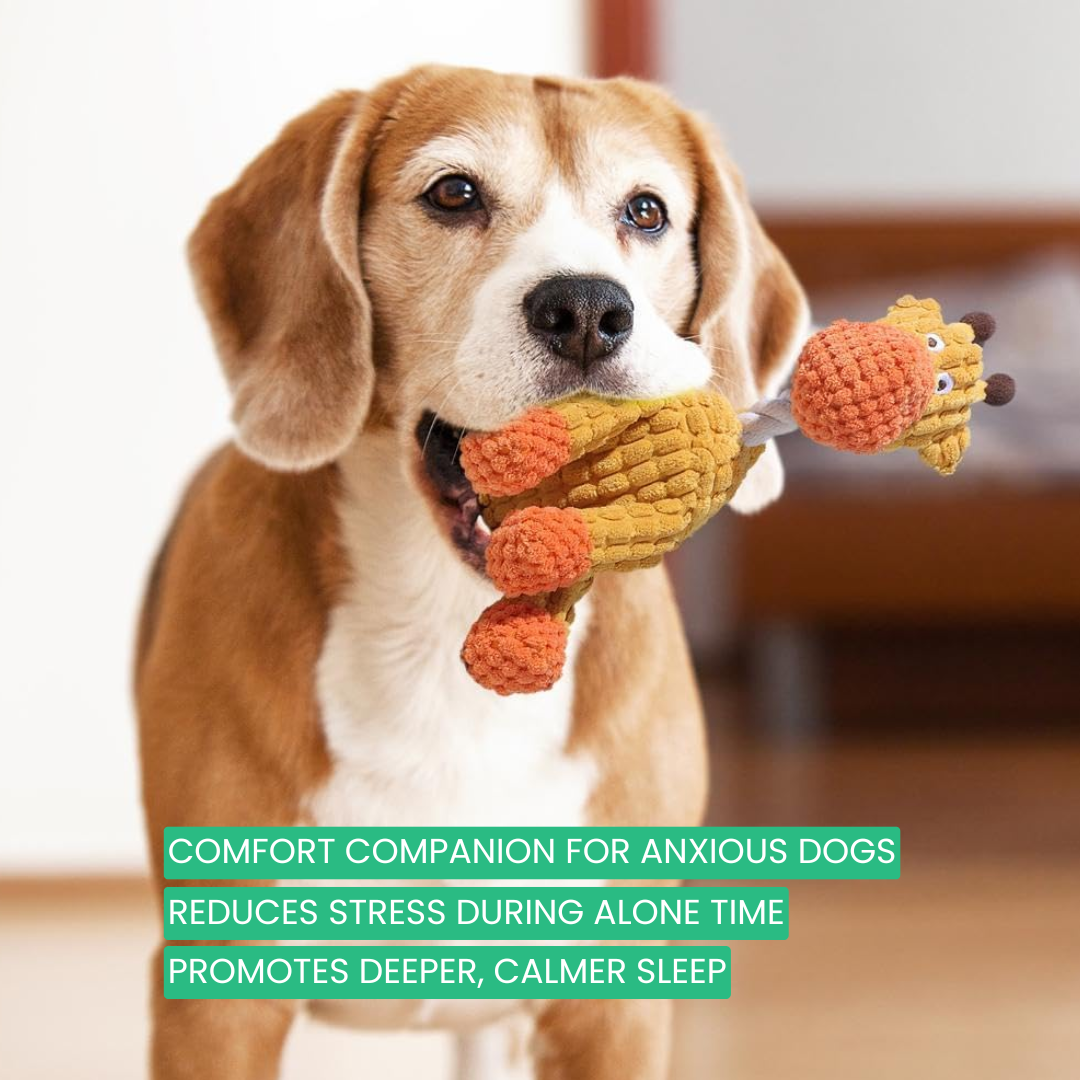 Woofipal™ For Aggressive Chewers - Moiasun