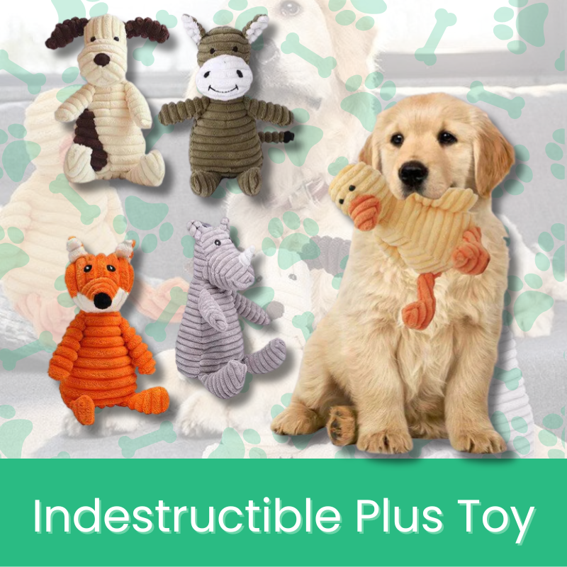 Benepaw Indestructible Pitaya Dog Chew Toys For Small Medium Large