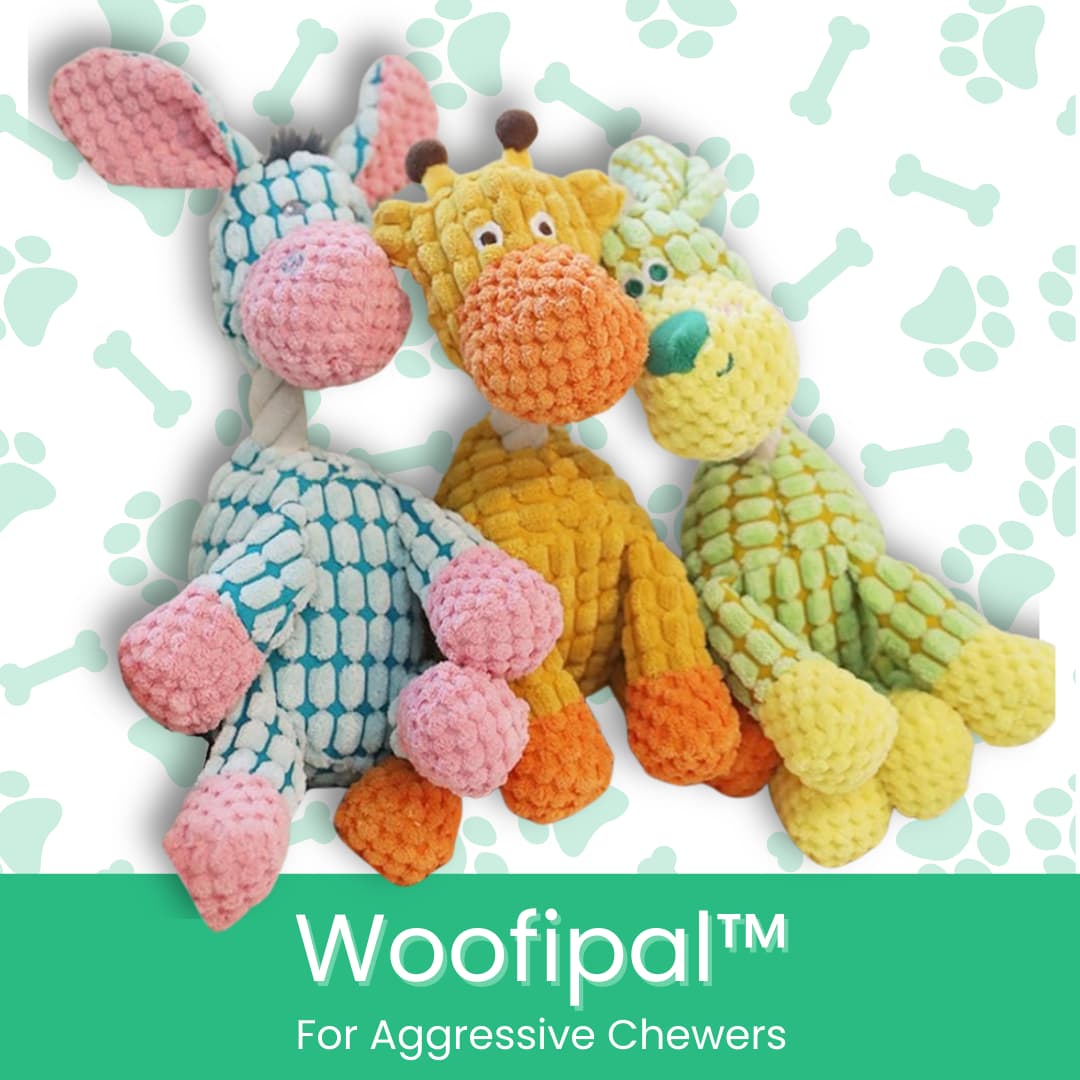 Woofipal™ For Aggressive Chewers - Moiasun