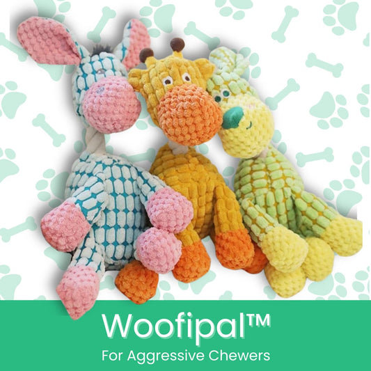 Woofipal™ For Aggressive Chewers - Moiasun