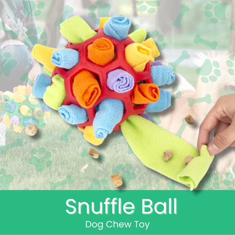 8 Best Snuffle Balls for Dogs