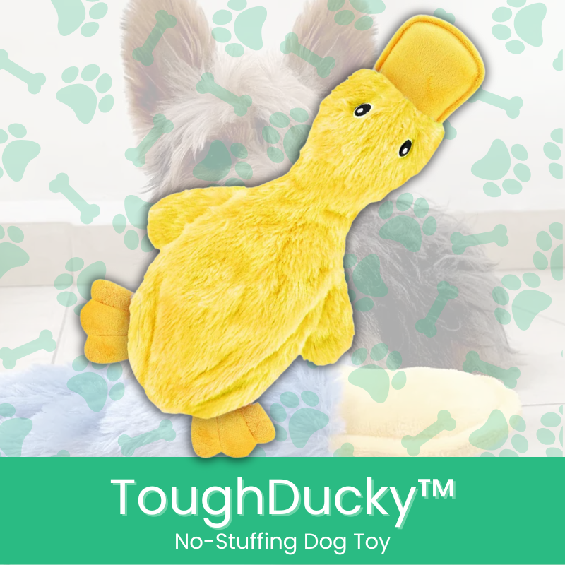 ToughDucky No Stuffing Dog Toy Moiasun