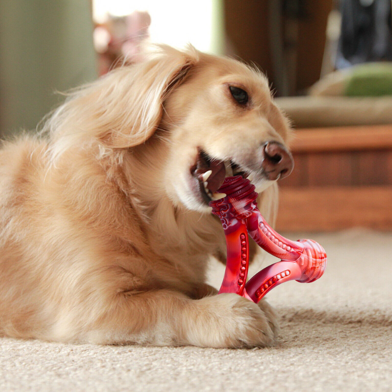 TriForceChew™ Beefy Durability for Serious Chewers - MOIASUN