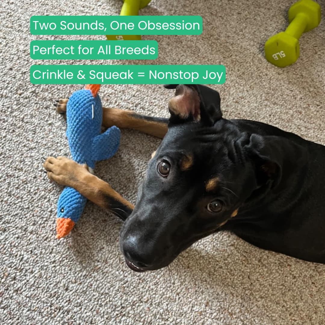 TuffDuckie™ Built Tough for Every Pup
