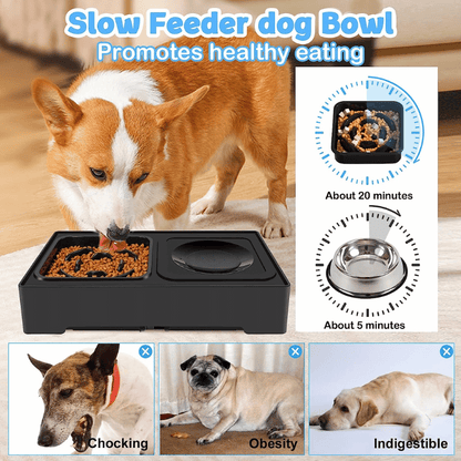 ElevateDine™ 2-in-1 Slow Feeder - MOIASUN