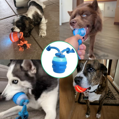 BarkBounce™ Automatic Dog Walker