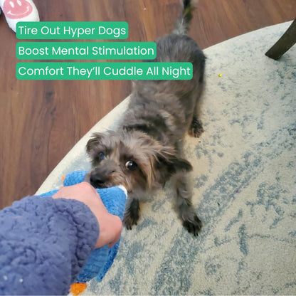 TuffDuckie™ Built Tough for Every Pup