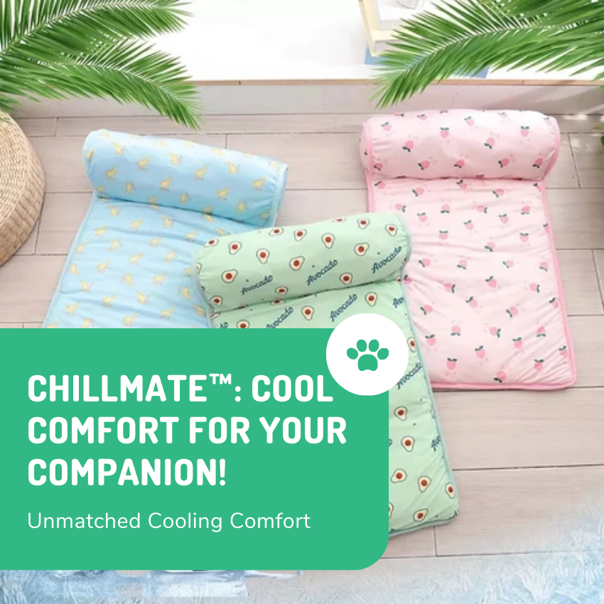 ChillMate™ Indestructible Dog Bed - MOIASUN