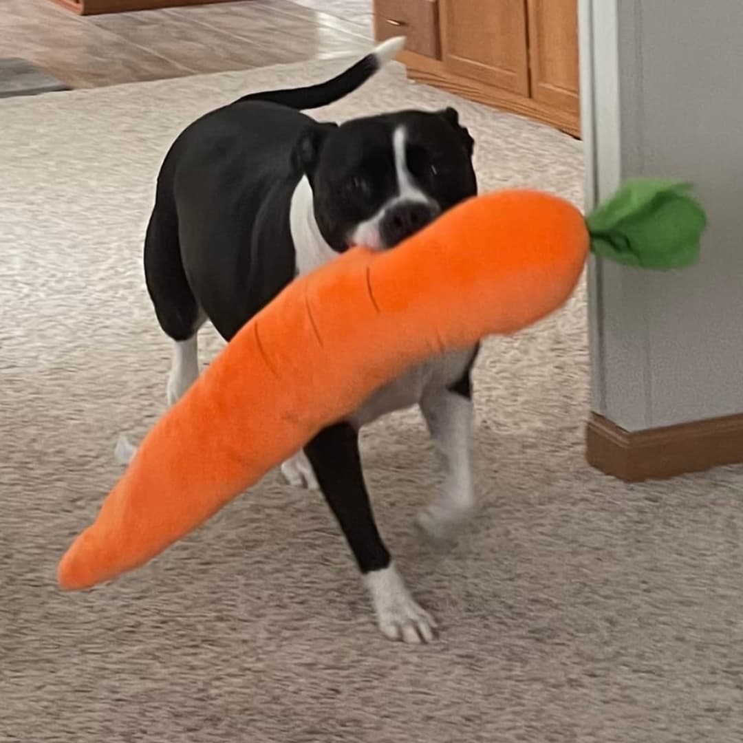 CuddleCarrot™ Giant Carrot Plush Toy