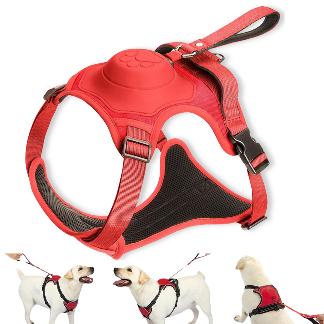 PawsFreedom™ 2-in-1 No-Pull Harness with Built-In Leash - Moiasun