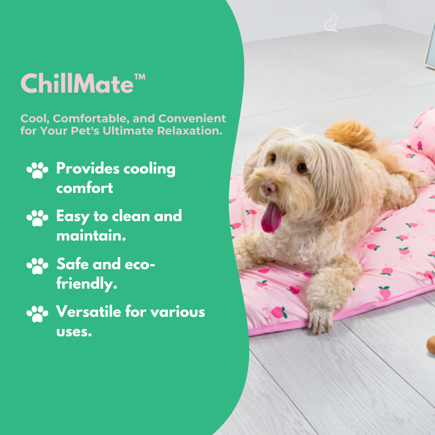 ChillMate™ Indestructible Dog Bed Moiasun