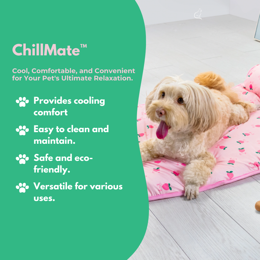 ChillMate™ Indestructible Dog Bed - MOIASUN