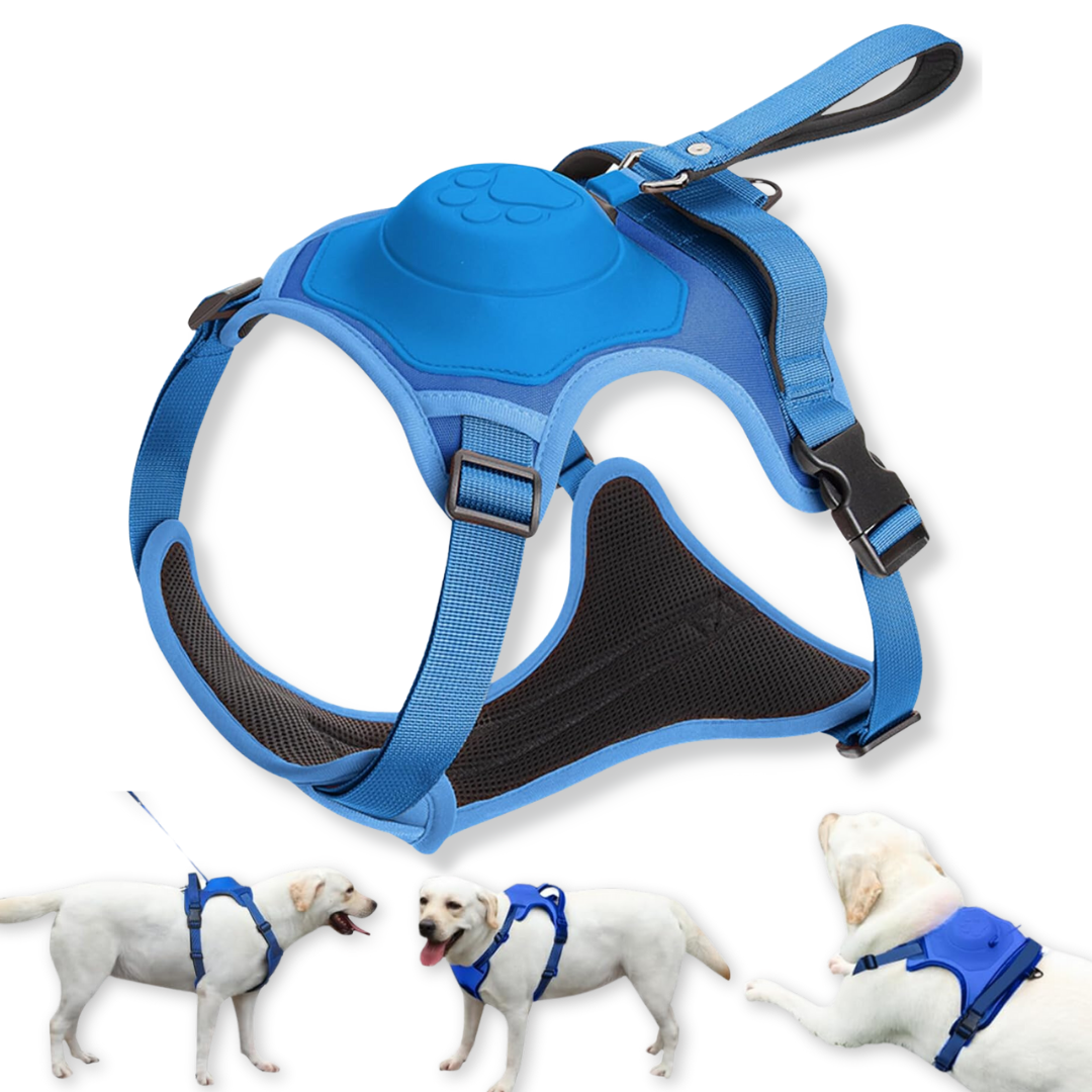 PawsFreedom™ 2-in-1 No-Pull Harness with Built-In Leash - Moiasun