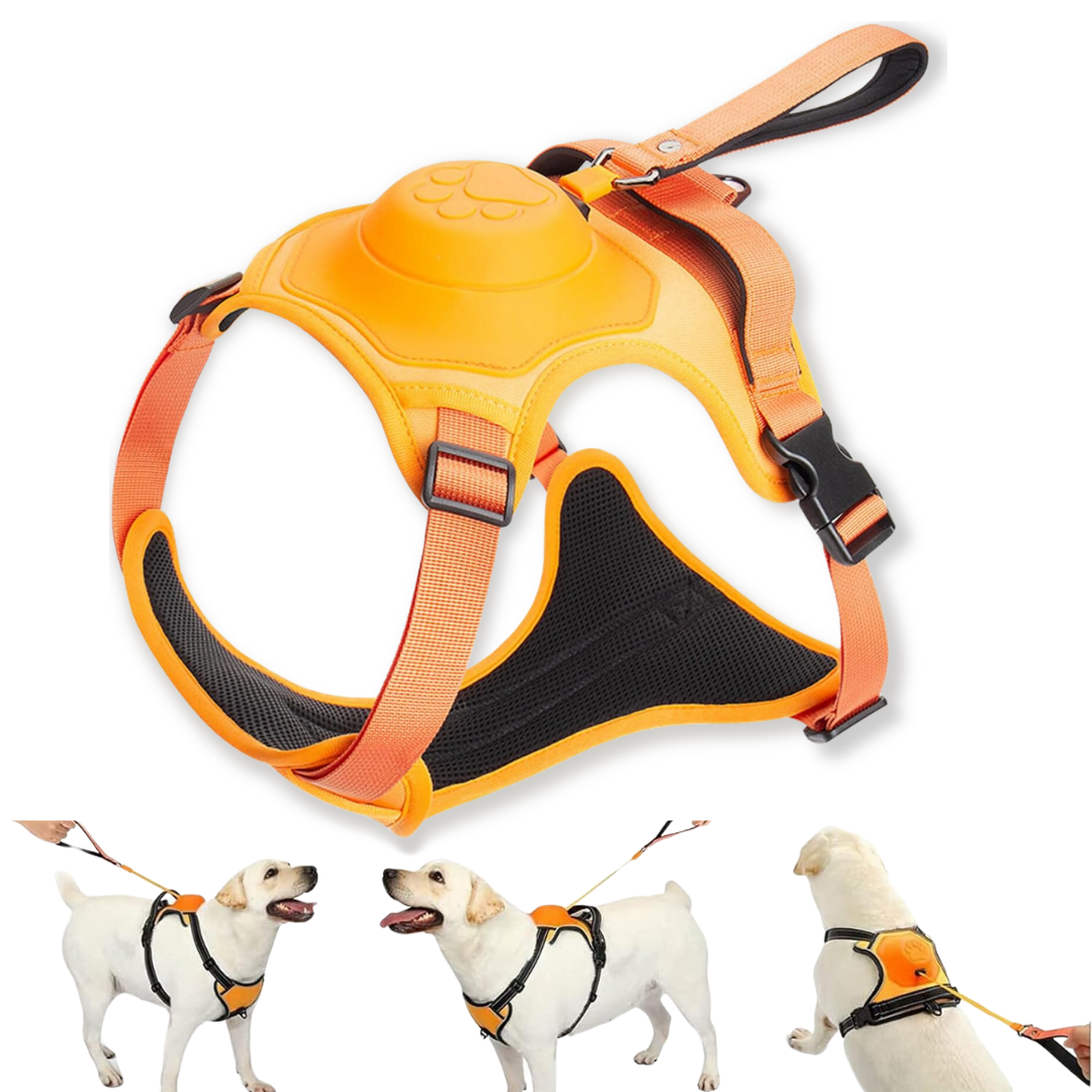 PawsFreedom™ 2-in-1 No-Pull Harness with Built-In Leash - Moiasun