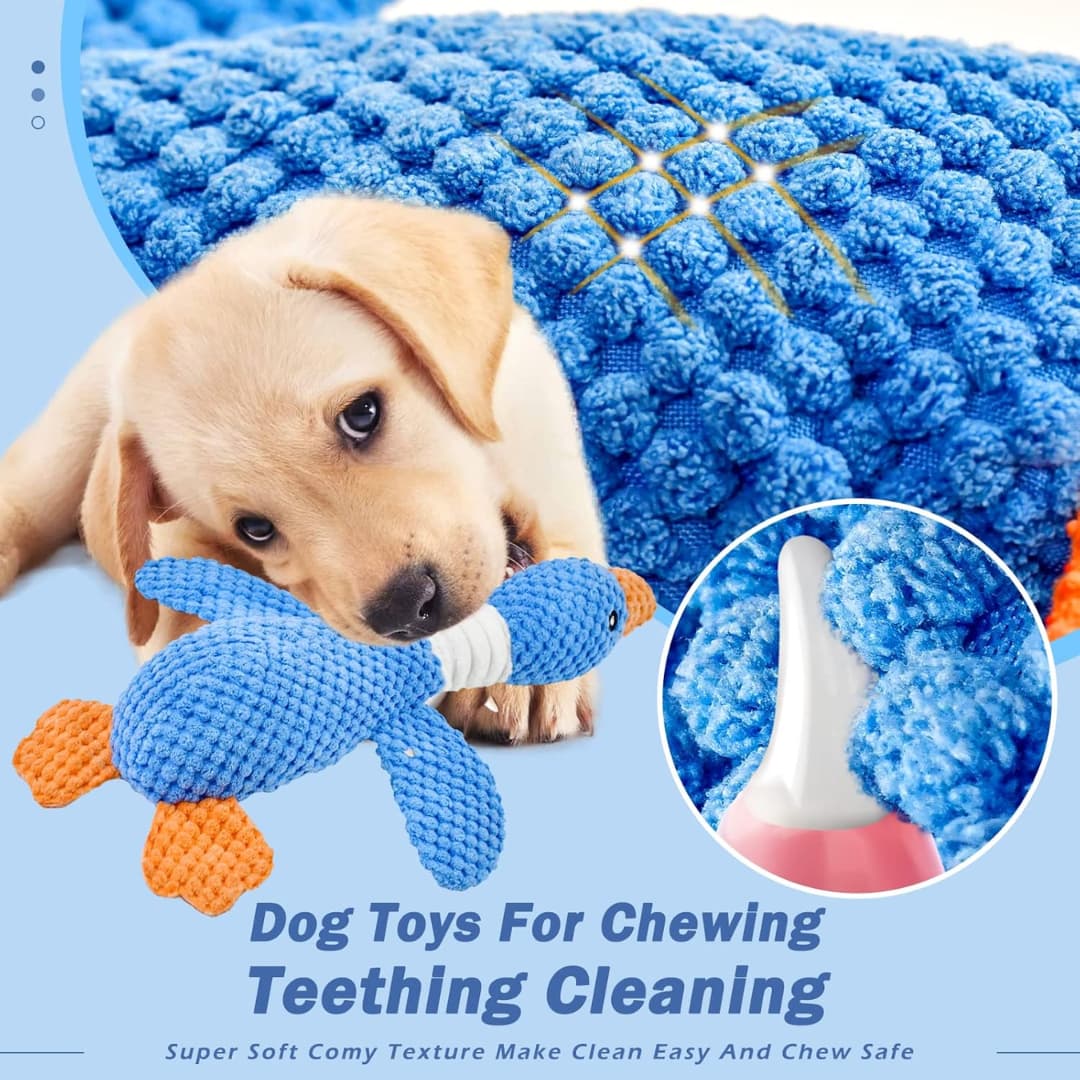 TuffDuckie™ Built Tough for Every Pup