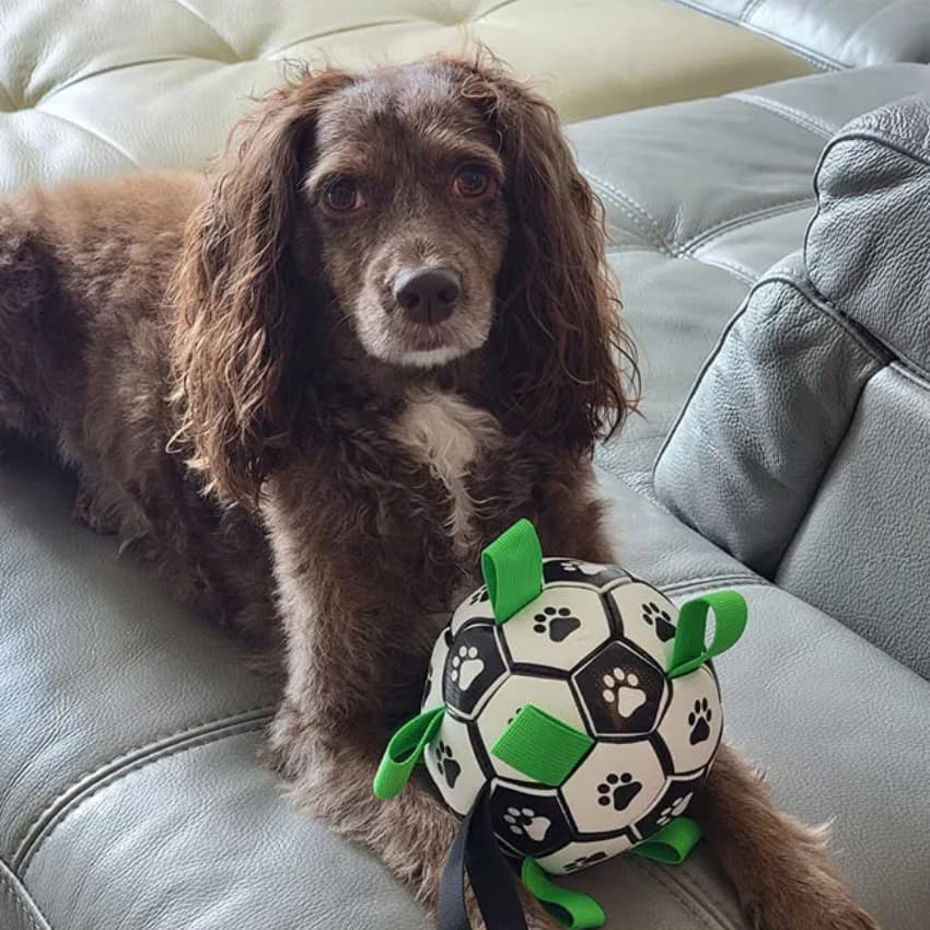 BounceTumble™ Soccer Play Ball