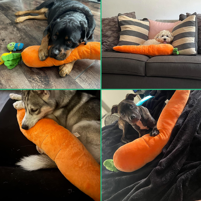 CuddleCarrot™ Giant Carrot Plush Toy - MOIASUN