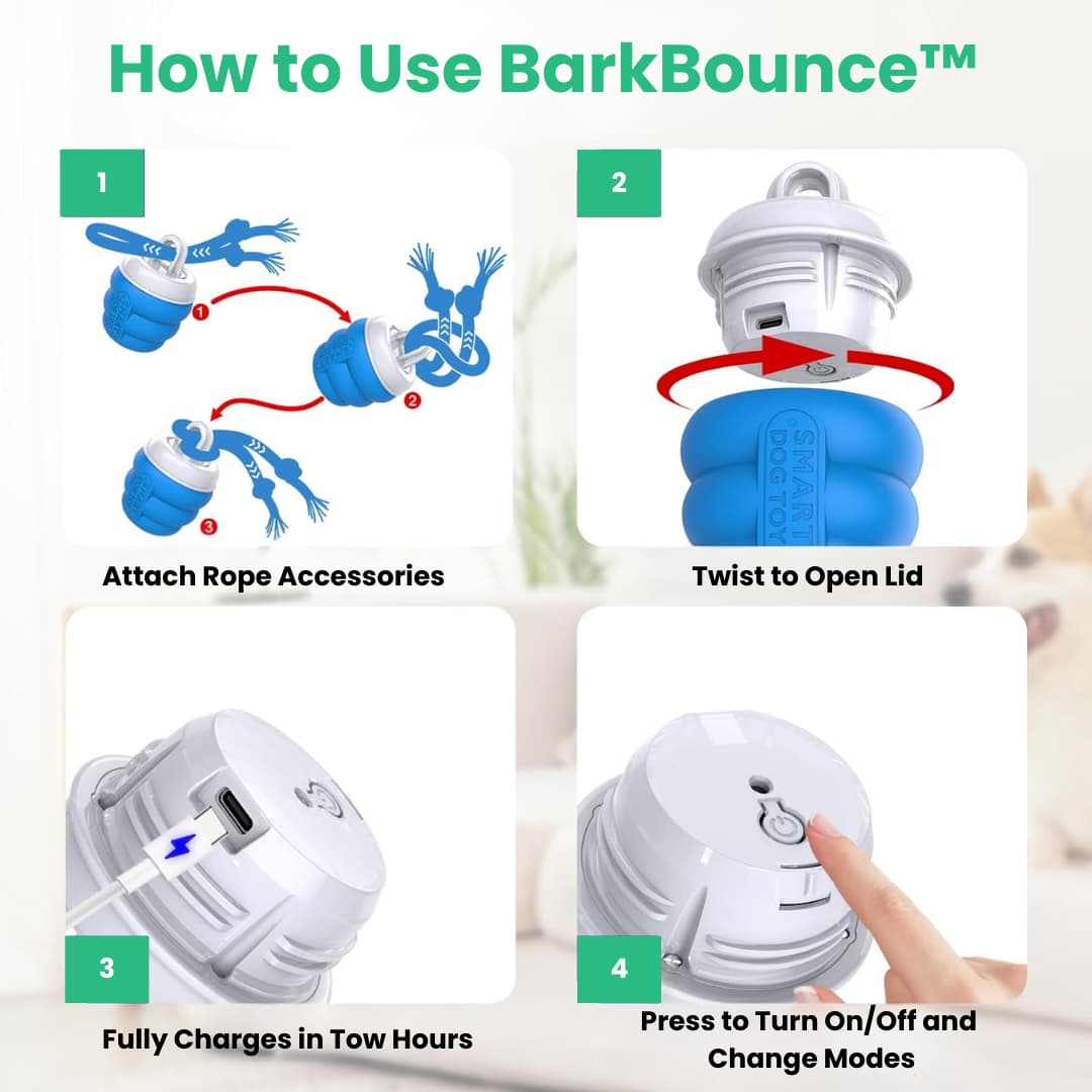 BarkBounce™ Interactive Motion Ball