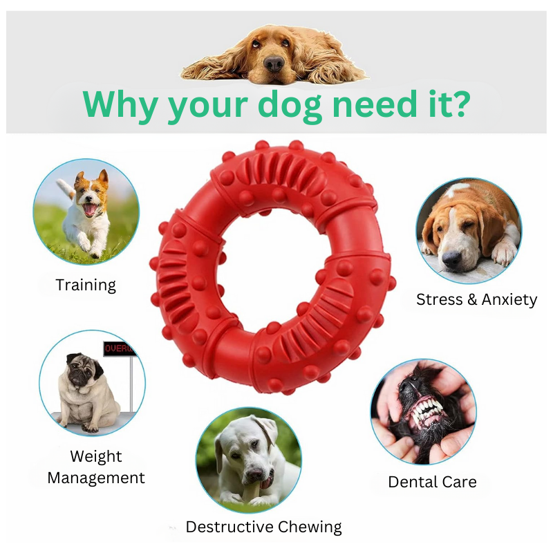 ToughDonut™ Indestructible Ring Toy for Heavy Chewers - MOIASUN