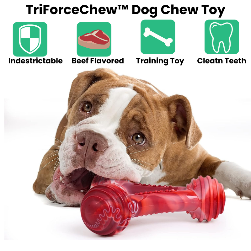 TriForceChew™ Beefy Durability for Serious Chewers - MOIASUN