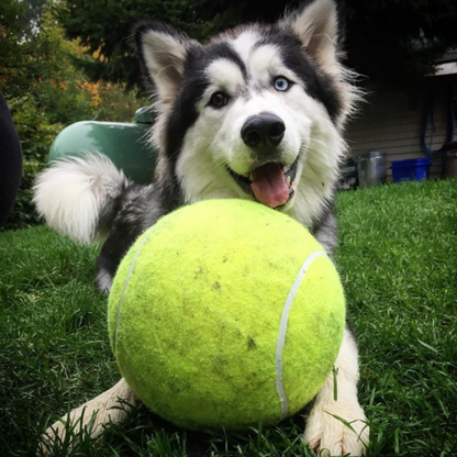 GiantJoy - The Mega Tennis Ball - MOIASUN