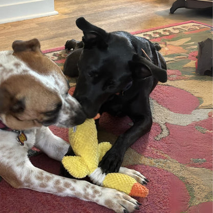 TuffDuckie™ Built Tough for Every Pup