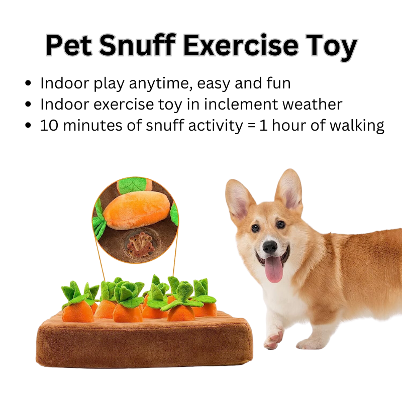 Sniff-N-Snack Adventure Mat - MOIASUN