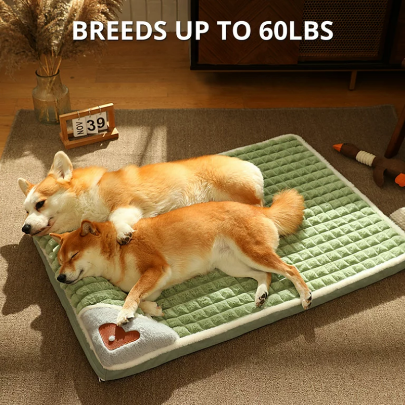 UltraSnug™ Comfortable Pet Bed - MOIASUN