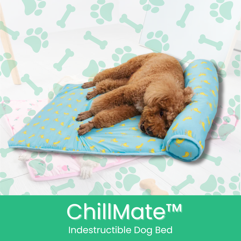 ChillMate™ Indestructible Dog Bed - MOIASUN