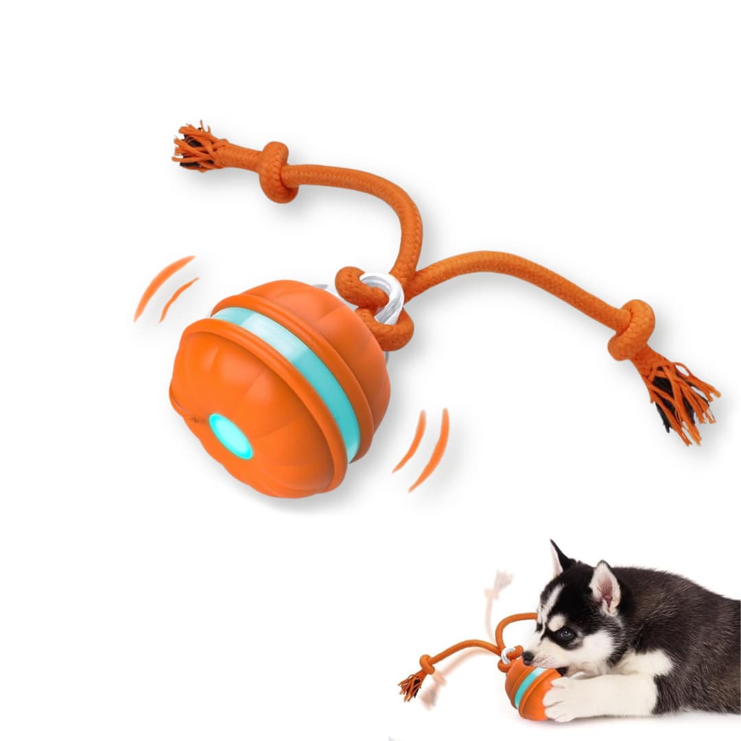 BarkBounce™ Automatic Dog Walker