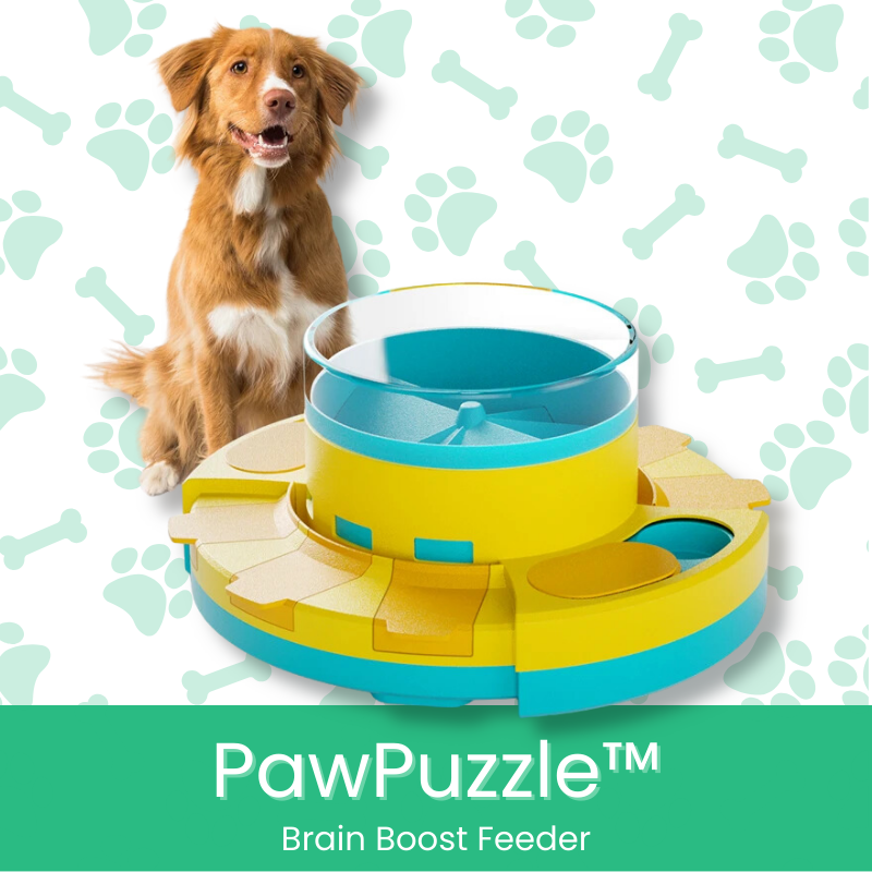 PawPuzzle™ Brain Boost Feeder