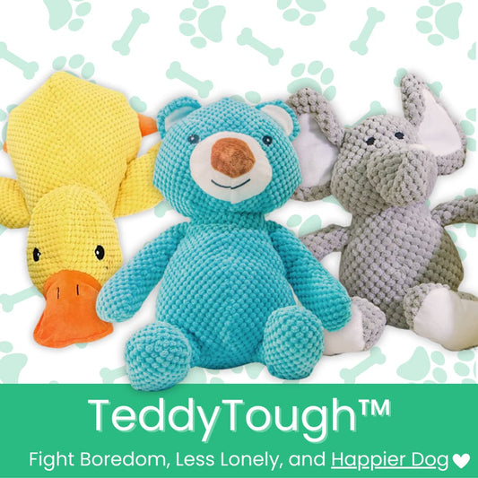 TeddyTough™ Fight Boredom, Less Lonely, and Happier Dog - Moiasun