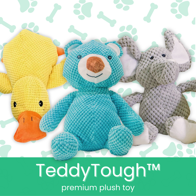 TeddyTough™ Premium Plush Toy - Moiasun