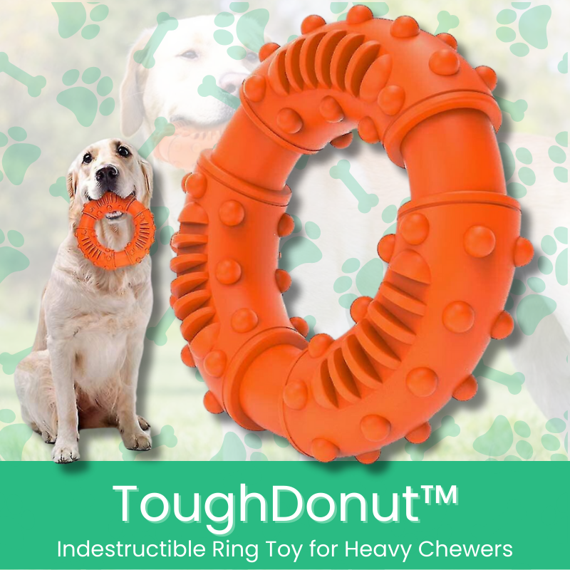 ToughDonut™ Indestructible Ring Toy for Heavy Chewers - MOIASUN