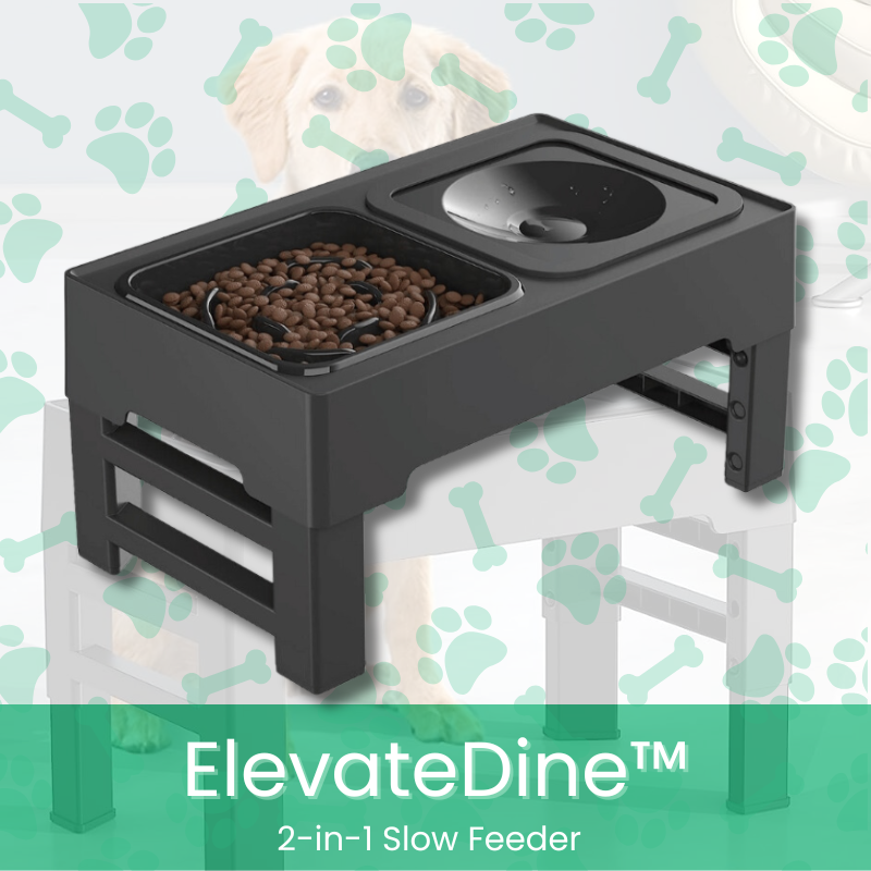 ElevateDine™ 2-in-1 Slow Feeder - MOIASUN