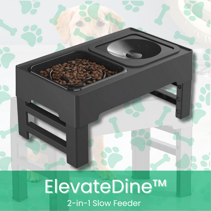 ElevateDine™ 2-in-1 Slow Feeder - MOIASUN