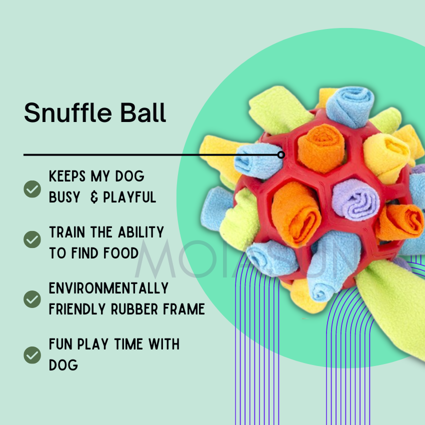 Snuffle Ball - Dog Chew Toy – Moiasun