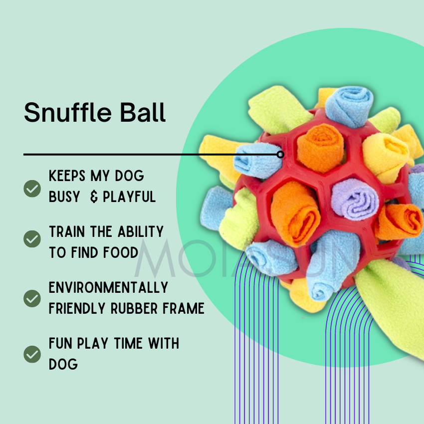 Snuffle Ball - Dog Chew Toy - MOIASUN