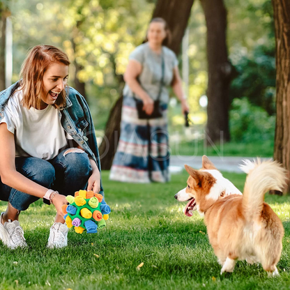 Snuffle Ball - Dog Chew Toy - MOIASUN