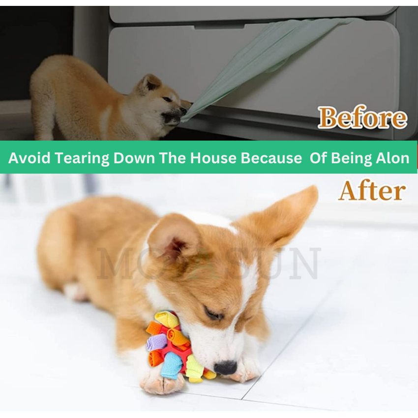 How to Use Chew Toys to Solve Home Alone Problems - Penny Paws