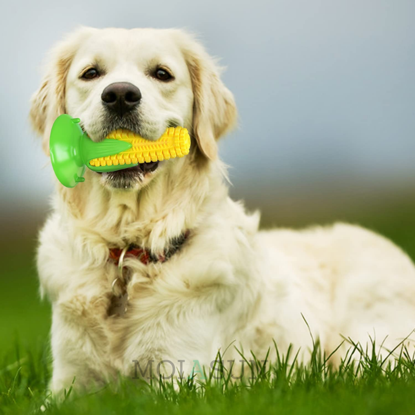 ChewCorn - The Perfect Chew Toy for Your Best Buddy - MOIASUN