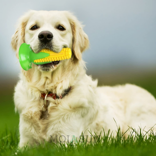Snuffle Ball - Dog Chew Toy – Moiasun